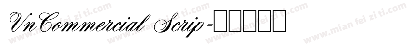 VnCommercial Scrip字体转换